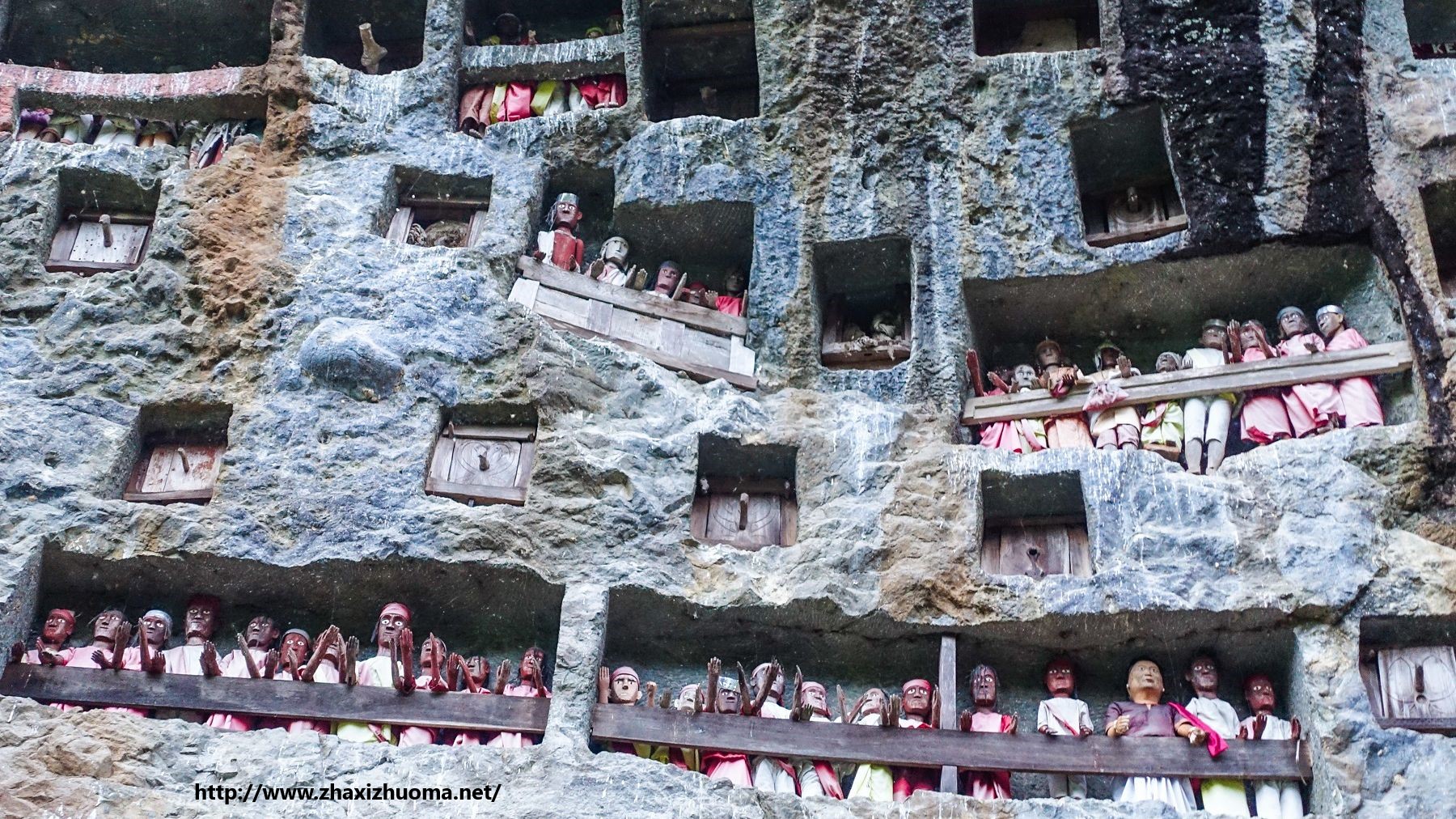 Mengenal Tentang Suku Toraja Dan Tradisi Uniknya